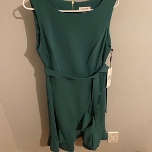 Calvin Klein Dress NWT